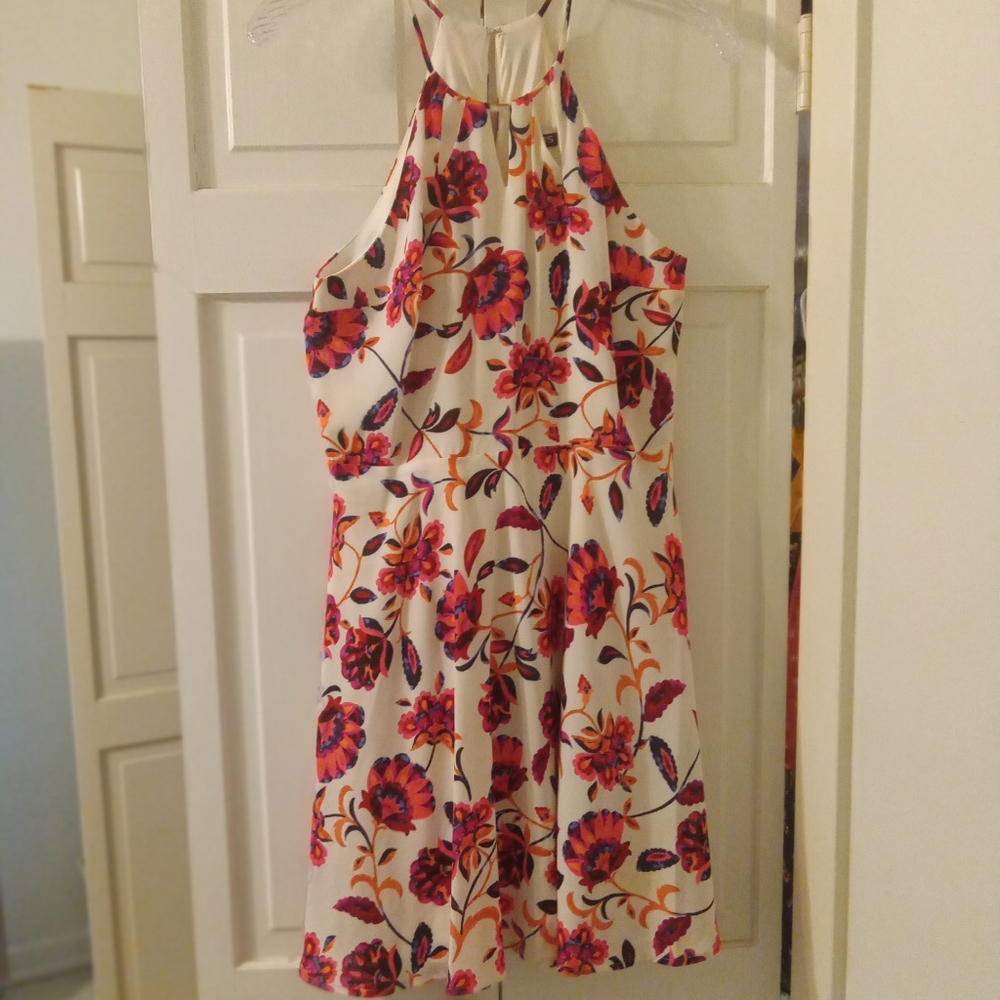 Express Floral Dress